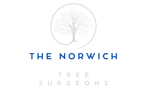 The Norwich Tree Surgeons